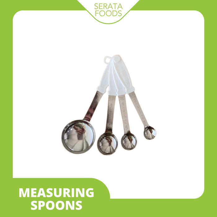 Sanneng SN4693 Stainless Steel Measuring Spoons 4pcs w Plastic Handle